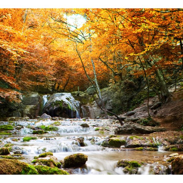 Fototapeta – podzim – vodopád Fototapeta – podzim – vodopád