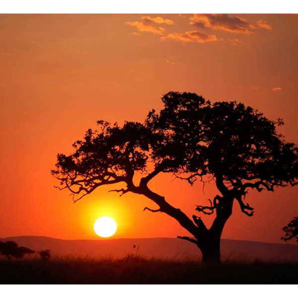 Fototapeta – Afrika: západ slunce Fototapeta – Afrika: západ slunce