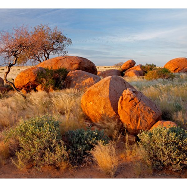 Fototapeta – African landscape, Namibia Fototapeta – African landscape, Namibia