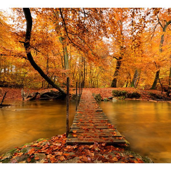 Fototapeta – Autumn bridge Fototapeta – Autumn bridge