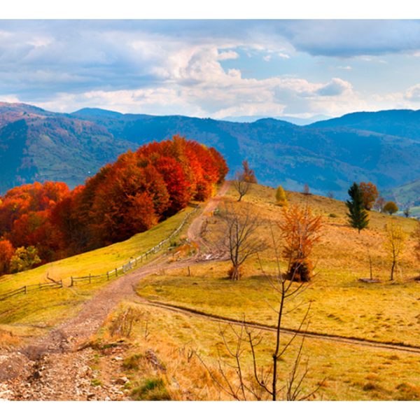 Fototapeta – Autumn landscape in the Carpathian mountains Fototapeta – Autumn landscape in the Carpathian mountains