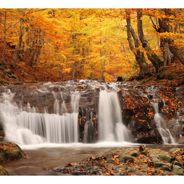 Fototapeta – Autumn landscape : waterfall in forest Fototapeta – Autumn landscape : waterfall in forest