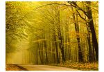 Fototapeta – Road in autumn forest Fototapeta – Road in autumn forest