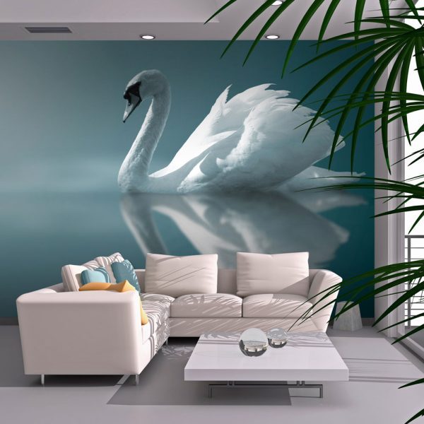 Fototapeta – White swan Fototapeta – White swan