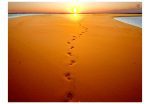 Fototapeta – Footprints in the sand Fototapeta – Footprints in the sand