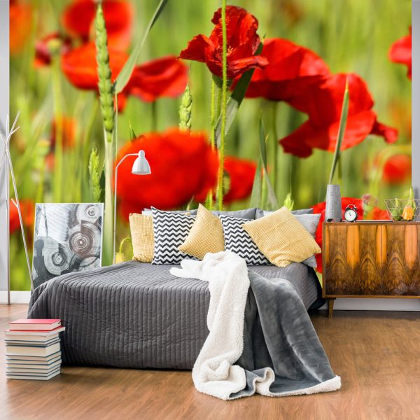 Fototapeta – Cereal field with poppies Fototapeta – Cereal field with poppies