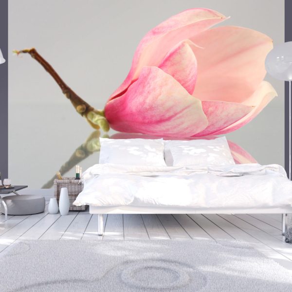 Fototapeta – A lonely magnolia flower Fototapeta – A lonely magnolia flower