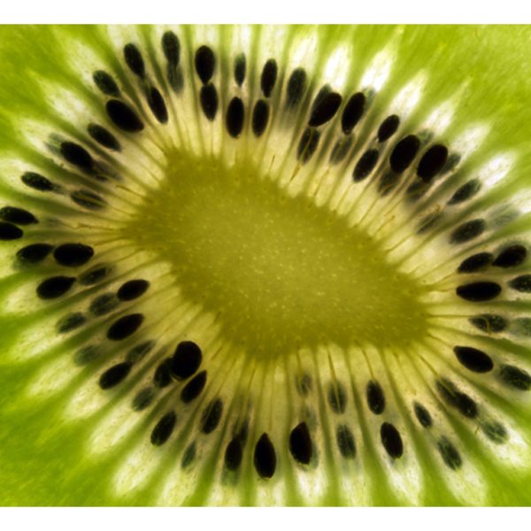 Fototapeta – ovoce: kiwi Fototapeta – ovoce: kiwi