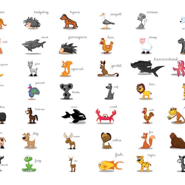 Fototapeta – Learning by playing (animals) Fototapeta – Learning by playing (animals)