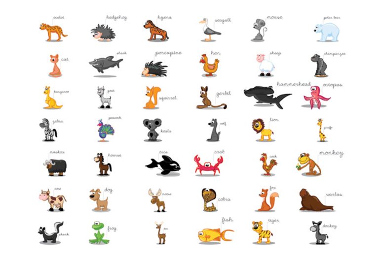 Fototapeta – Learning by playing (animals) Fototapeta – Learning by playing (animals)