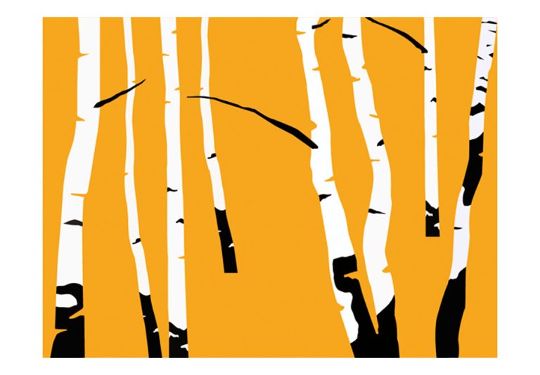 Fototapeta – Birches on the orange background Fototapeta – Birches on the orange background