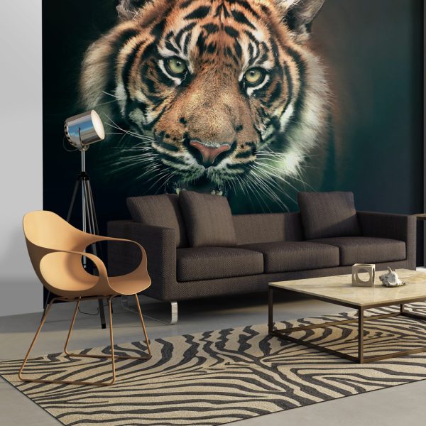 Fototapeta – Bengal Tiger Fototapeta – Bengal Tiger