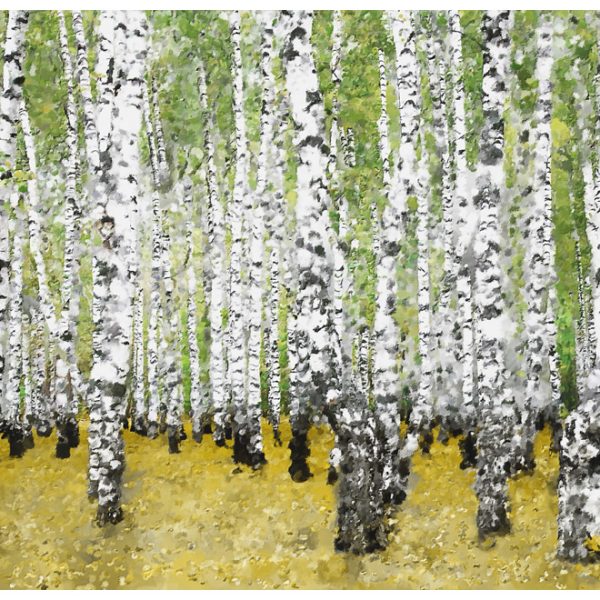 Fototapeta – In birch grove… Fototapeta – In birch grove…