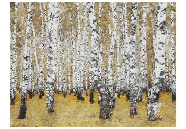 Fototapeta – Autumnal birch forest Fototapeta – Autumnal birch forest