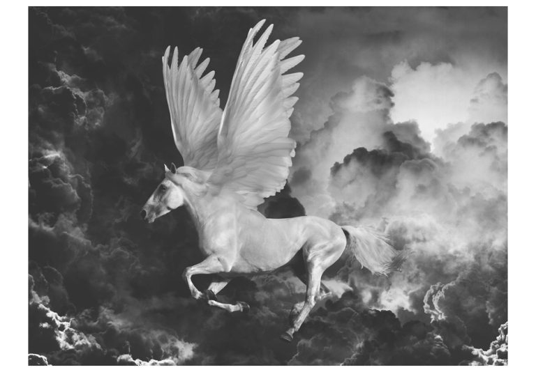 Fototapeta – Pegasus on the way to Mount Olympus Fototapeta – Pegasus on the way to Mount Olympus