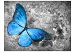 Fototapeta – Blue butterfly Fototapeta – Blue butterfly