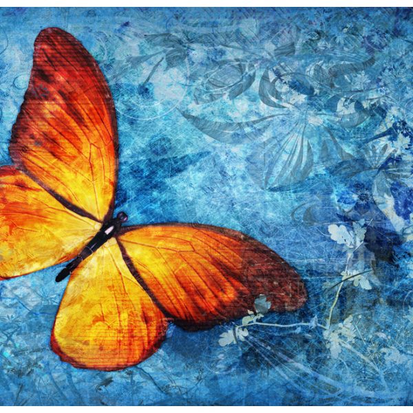 Fototapeta – Fiery butterfly Fototapeta – Fiery butterfly