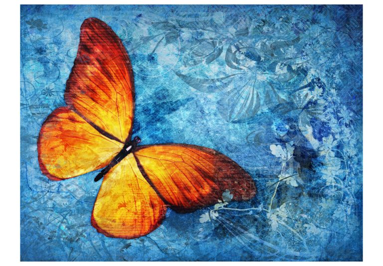 Fototapeta – Fiery butterfly Fototapeta – Fiery butterfly