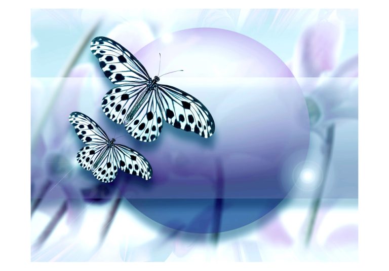 Fototapeta – Planet of butterflies Fototapeta – Planet of butterflies