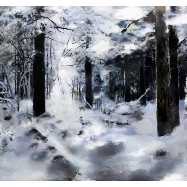 Fototapeta – Winter forest Fototapeta – Winter forest