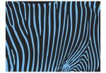 Fototapeta – Zebra pattern (tyrkys) Fototapeta – Zebra pattern (tyrkys)