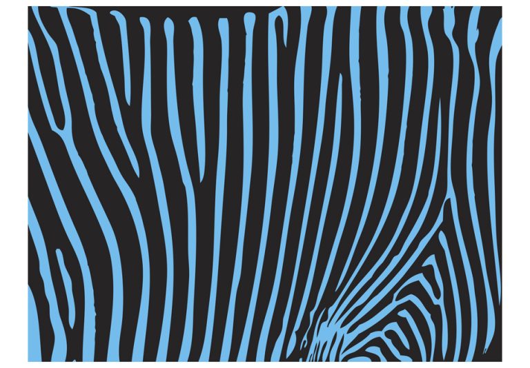 Fototapeta – Zebra pattern (tyrkys) Fototapeta – Zebra pattern (tyrkys)