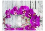 Fototapeta – Violet orchids with water reflexion Fototapeta – Violet orchids with water reflexion