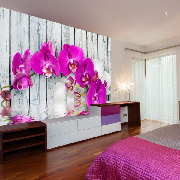 Fototapeta – Violet orchids with water reflexion Fototapeta – Violet orchids with water reflexion