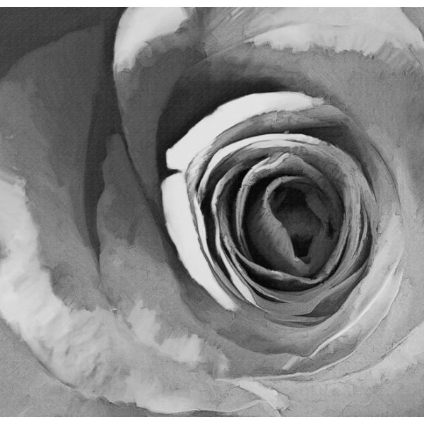Fototapeta – Paper rose Fototapeta – Paper rose