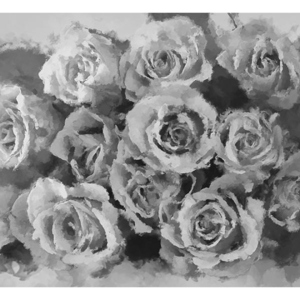 Fototapeta – A dozen roses Fototapeta – A dozen roses