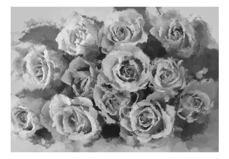 Fototapeta – A dozen roses Fototapeta – A dozen roses