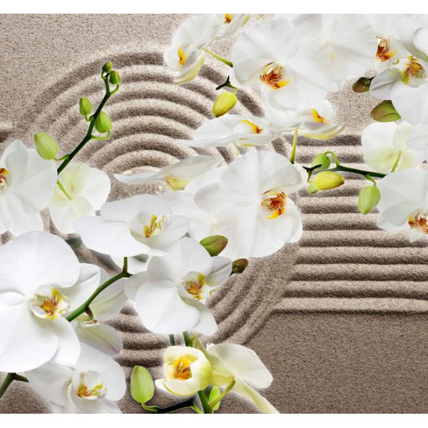 Fototapeta – Beautiful Zen Garden Fototapeta – Beautiful Zen Garden
