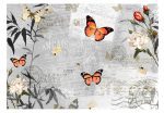 Fototapeta – Butterflies song Fototapeta – Butterflies song