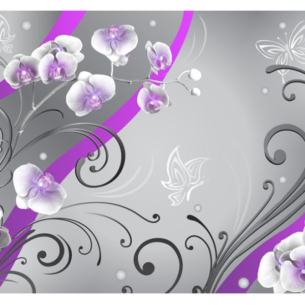 Fototapeta – Purple orchids – variation Fototapeta – Purple orchids – variation