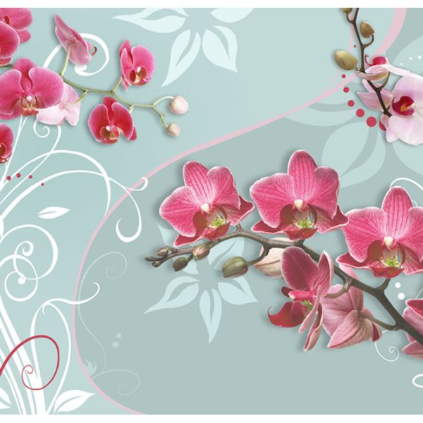 Fototapeta – Pink orchids – variation II Fototapeta – Pink orchids – variation II