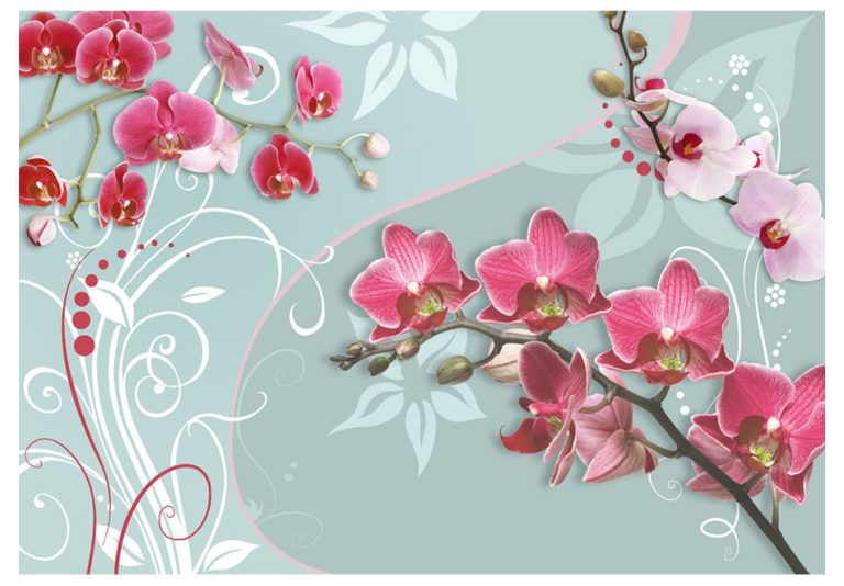 Fototapeta – Pink orchids – variation II Fototapeta – Pink orchids – variation II