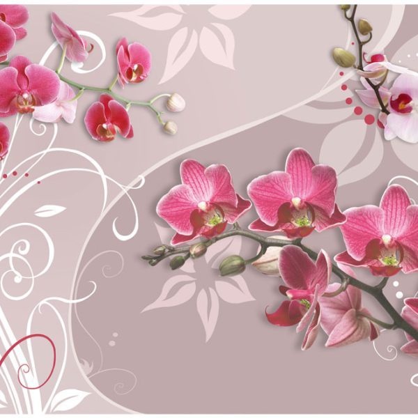 Fototapeta – Flight of pink orchids Fototapeta – Flight of pink orchids