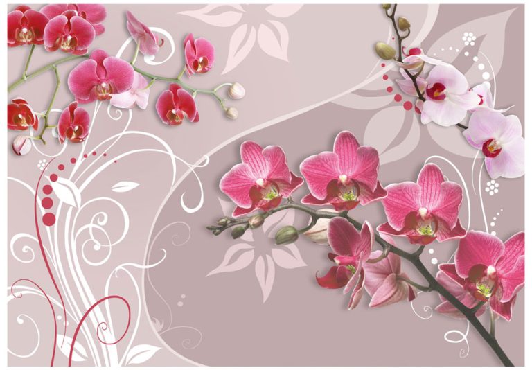 Fototapeta – Flight of pink orchids Fototapeta – Flight of pink orchids