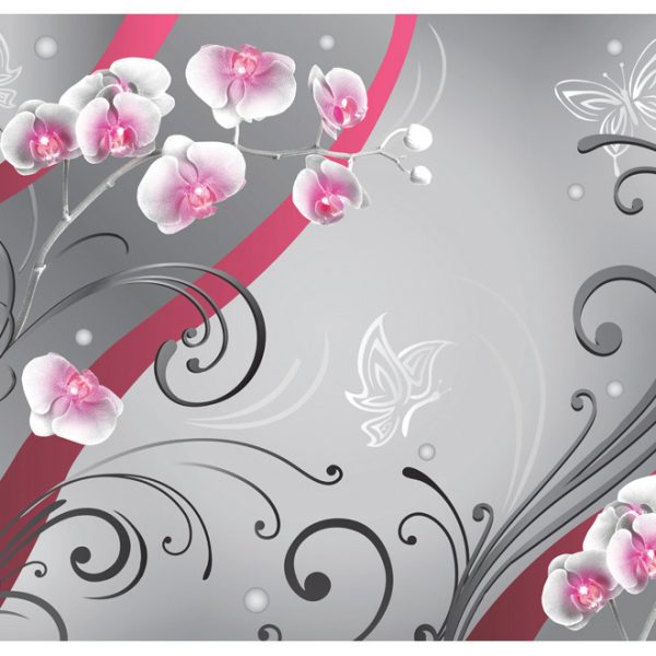 Fototapeta – Pink orchids – variation Fototapeta – Pink orchids – variation