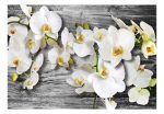 Fototapeta – Callous orchids III Fototapeta – Callous orchids III