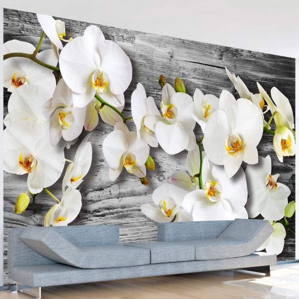Fototapeta – Callous orchids III Fototapeta – Callous orchids III