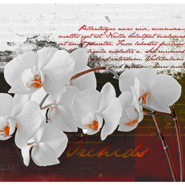 Fototapeta – Diary and orchid Fototapeta – Diary and orchid