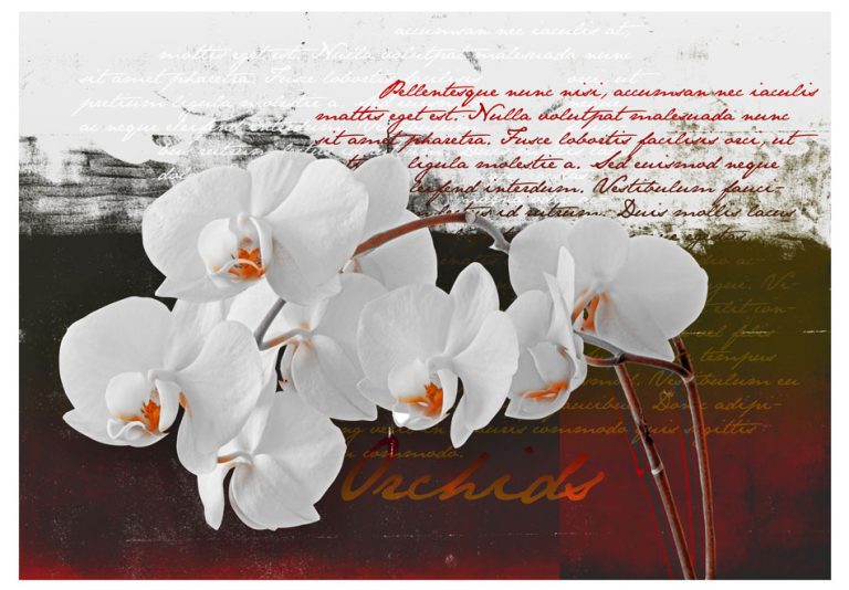 Fototapeta – Diary and orchid Fototapeta – Diary and orchid