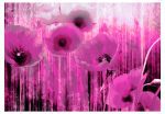 Fototapeta – Pink madness Fototapeta – Pink madness
