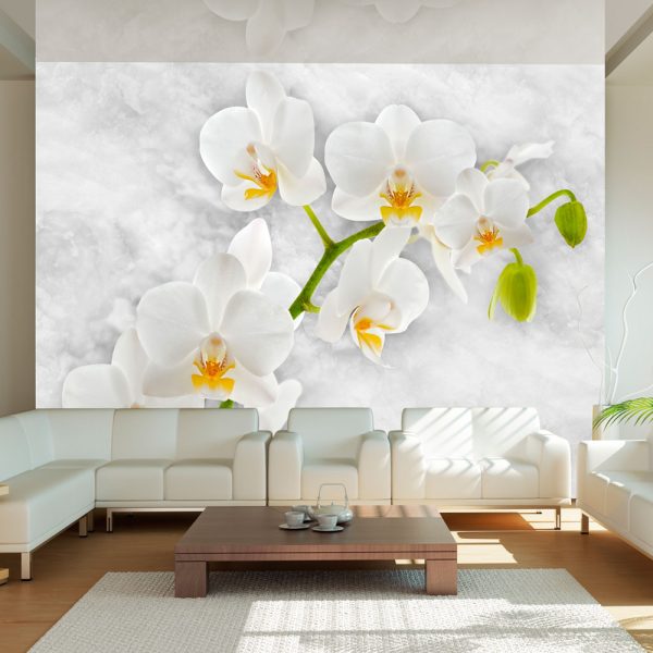 Fototapeta – Lyrical orchid – White Fototapeta – Lyrical orchid – White