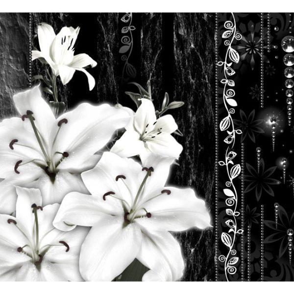 Fototapeta – Crying lilies Fototapeta – Crying lilies