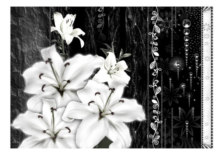 Fototapeta – Crying lilies Fototapeta – Crying lilies