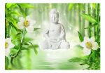 Fototapeta – Buddha and nature Fototapeta – Buddha and nature