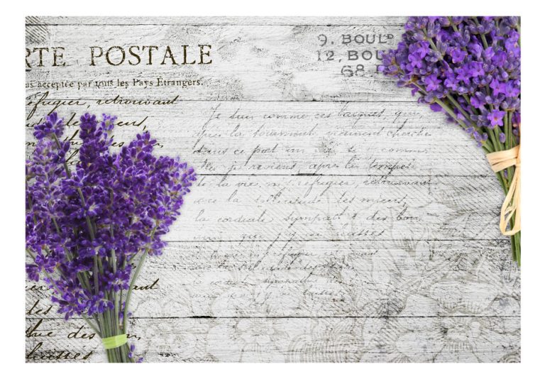Fototapeta – Lavender postcard Fototapeta – Lavender postcard