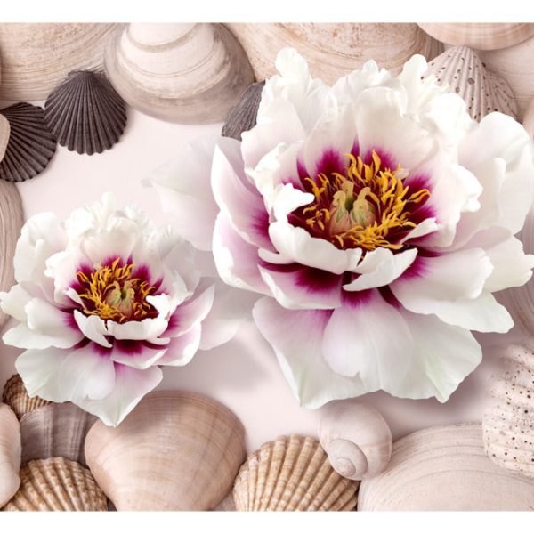 Fototapeta – Flowers and Shells Fototapeta – Flowers and Shells